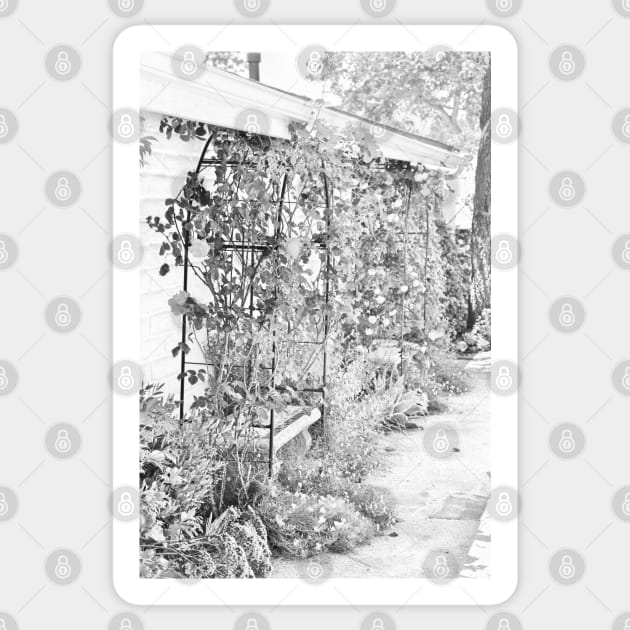 Flower Garden in Simple Gray-scale Solvang CA Sticker by ButterflyInTheAttic